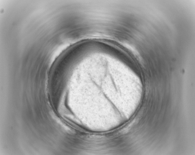 X0000088651374200706221600