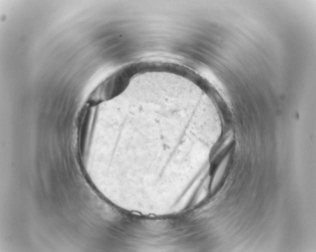 X0000088651376200706221600