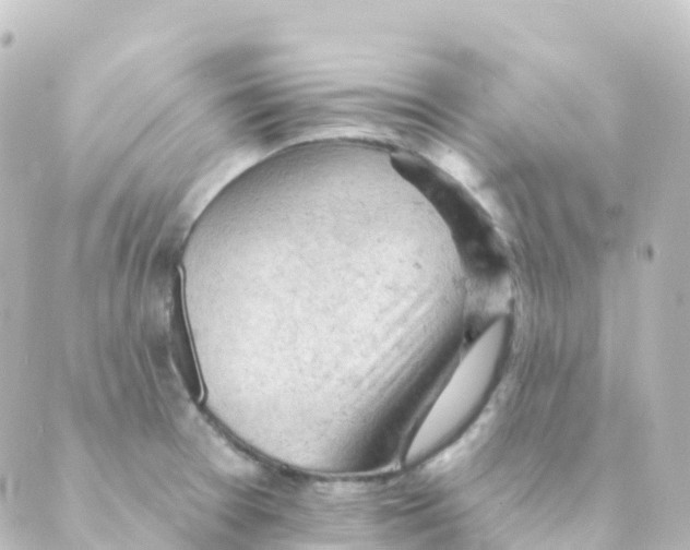 X0000088651377200706221600