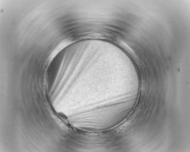 X0000088651378200706221600