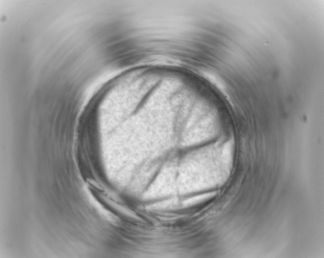 X0000088651379200706221600