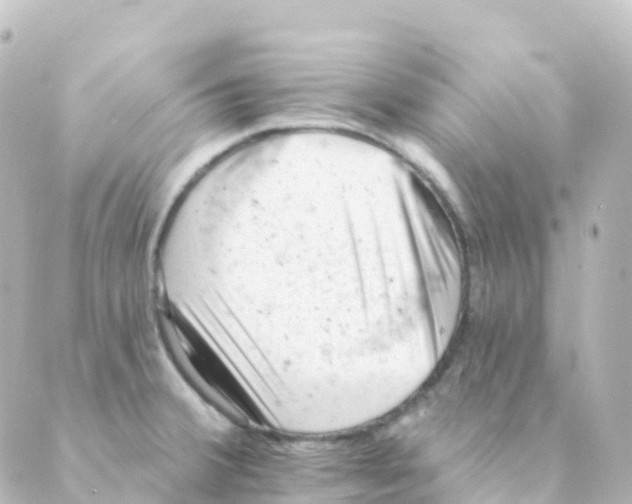 X0000088651380200706221600