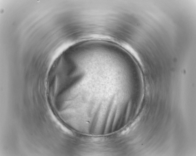 X0000088651381200706221600