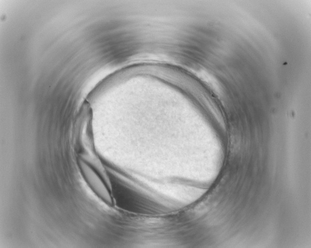 X0000088651382200706221600