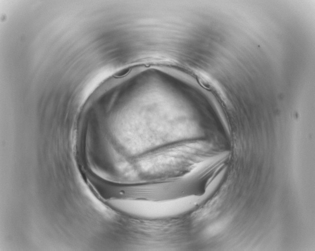 X0000088651383200706221600