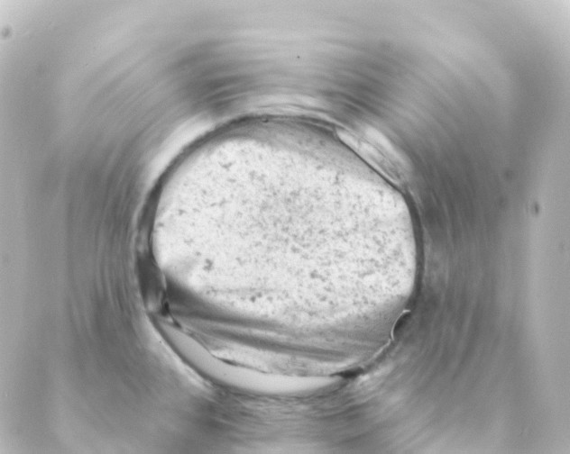 X0000088651384200706221600