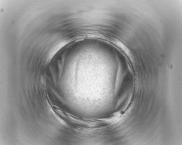 X0000088651385200706221600