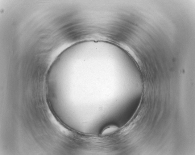 X0000088651387200706221600