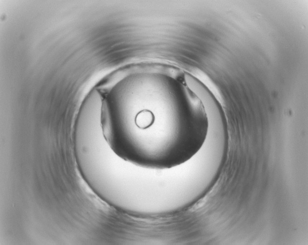 X0000088651388200706221600