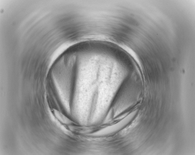 X0000088651389200706221559