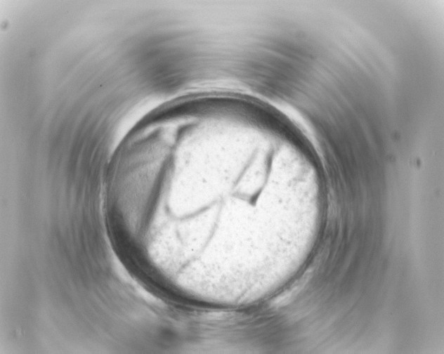 X0000088651390200706221559