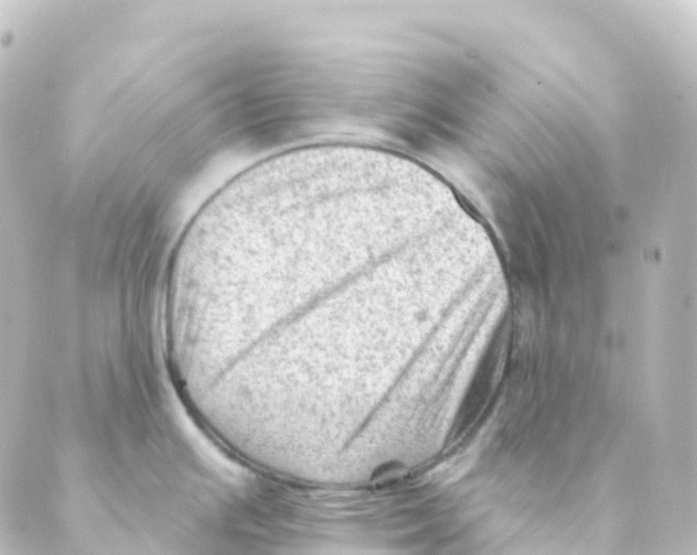 X0000088651391200706221559