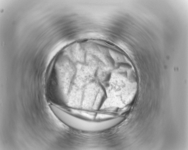 X0000088651392200706221559