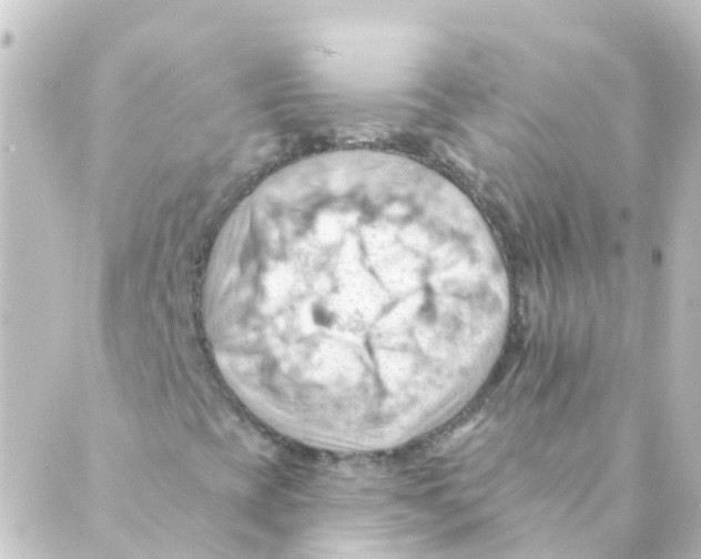 X0000088651393200706221559