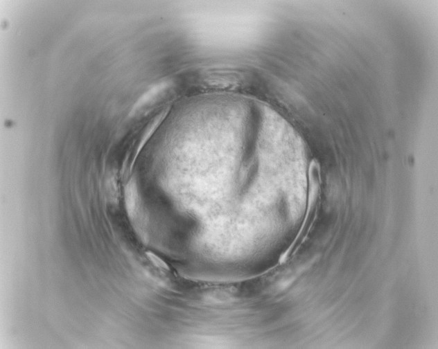 X0000088651394200706221559