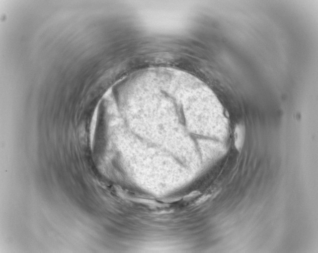 X0000088651395200706221559