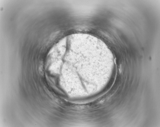 X0000088651396200706221559