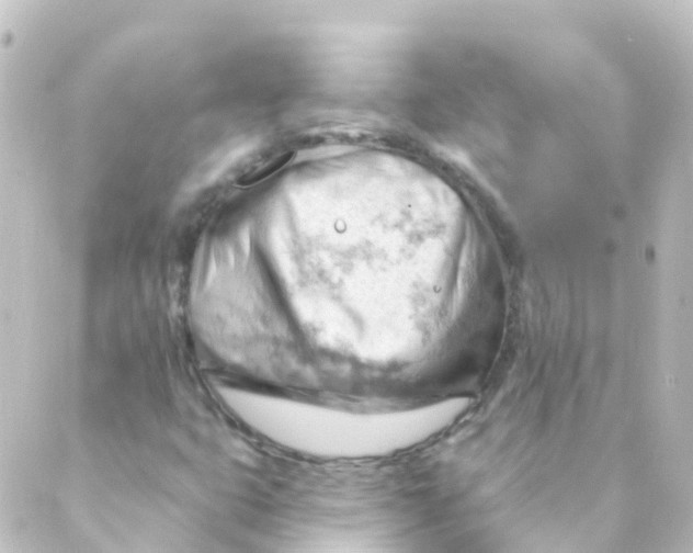 X0000088651399200706221559