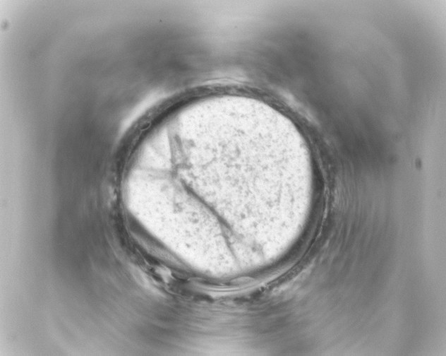 X0000088651400200706221559