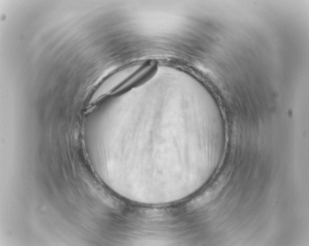 X0000088651401200706221559