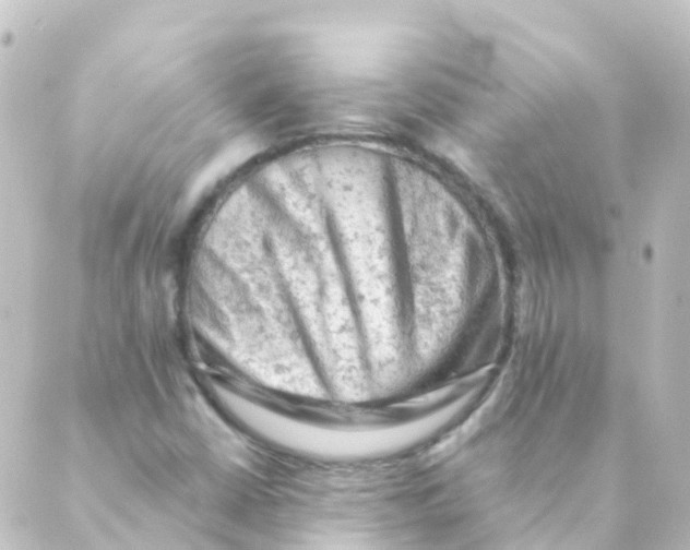 X0000088651402200706221559