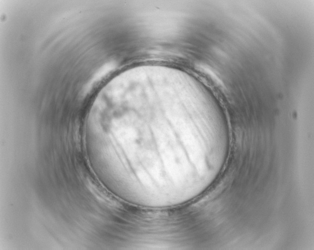 X0000088651403200706221559