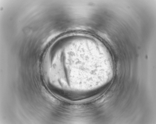 X0000088651404200706221559