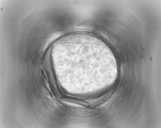 X0000088651405200706221559