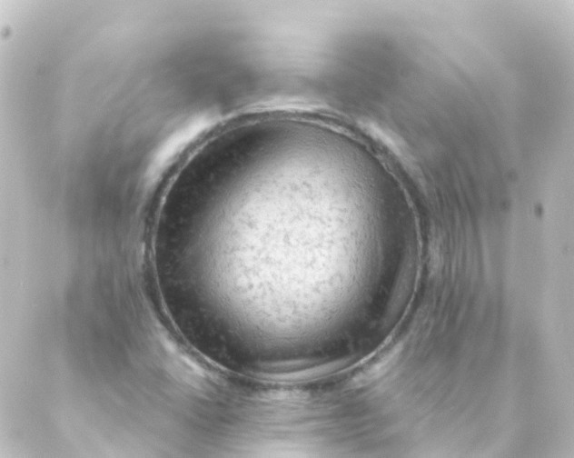 X0000088651406200706221559