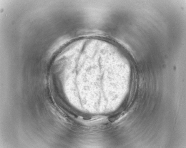 X0000088651407200706221559