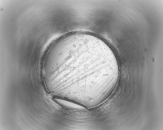 X0000088651408200706221559