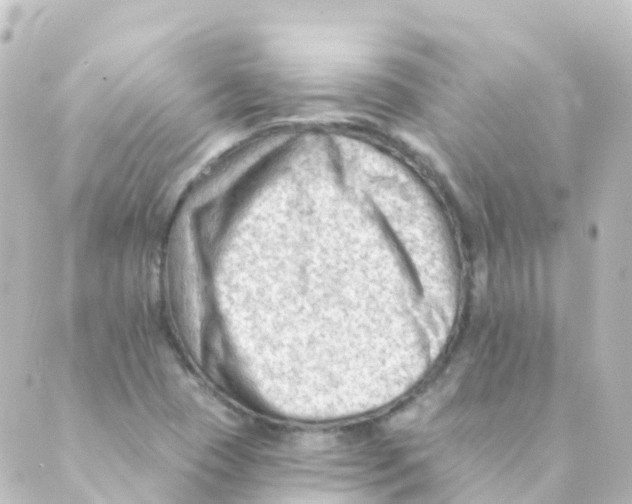 X0000088651409200706221559