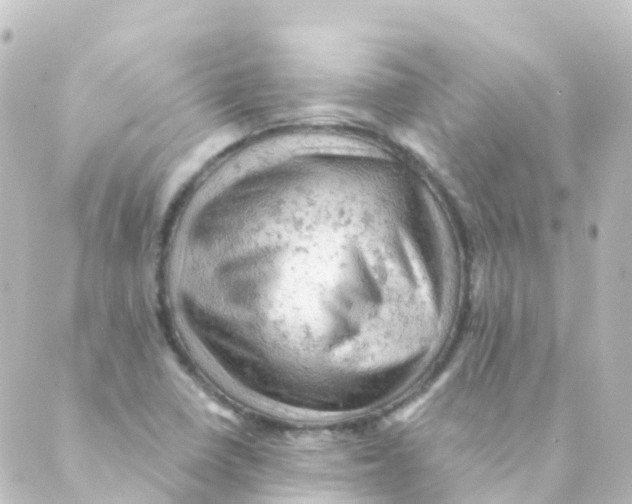 X0000088651410200706221559