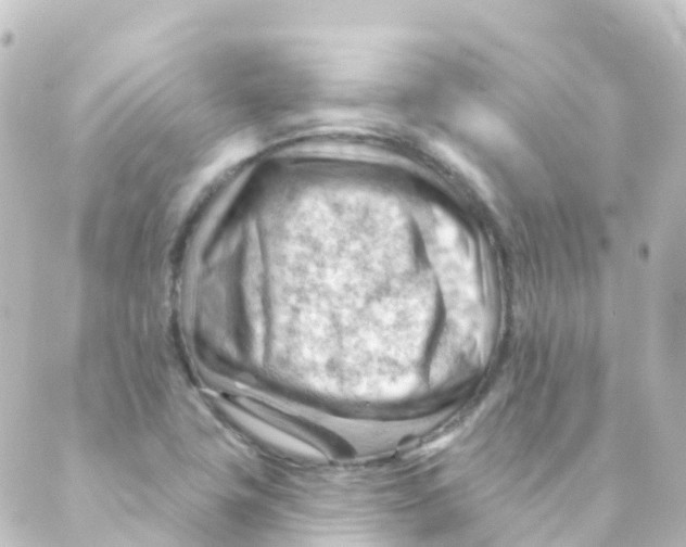 X0000088651411200706221559