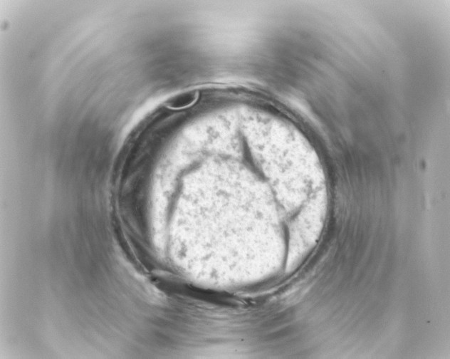 X0000088651412200706221559