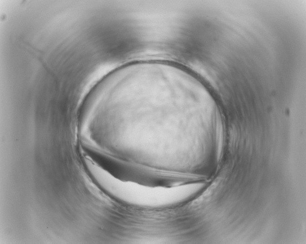 X0000088651413200706221559