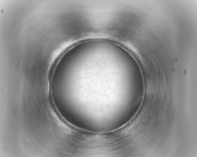 X0000088651414200706221559