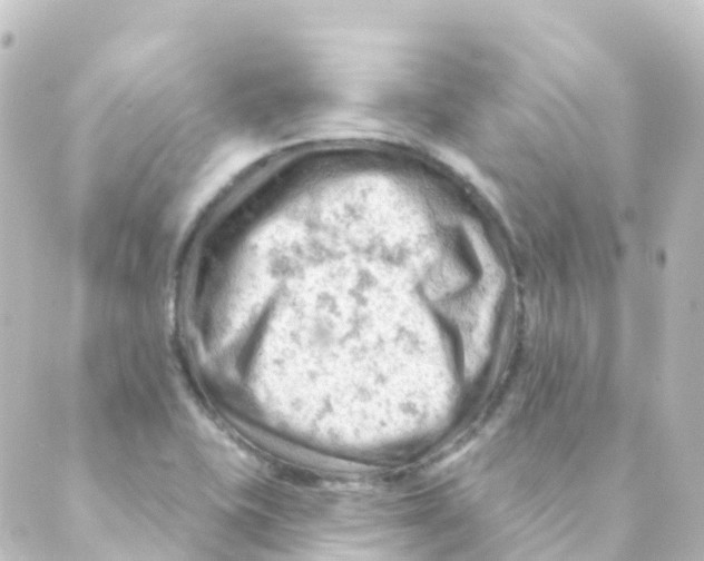 X0000088651415200706221559