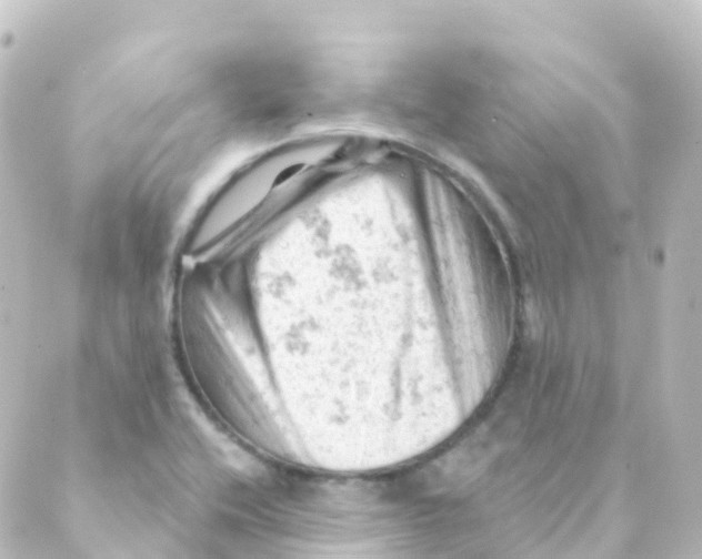 X0000088651416200706221559