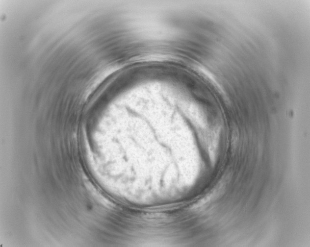 X0000088651417200706221559