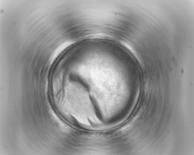 X0000088651418200706221559