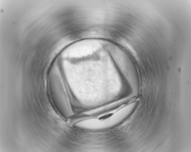 X0000088651419200706221559