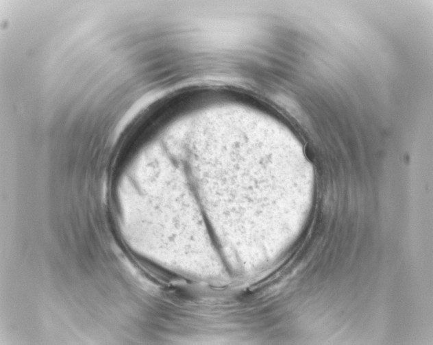 X0000088651420200706221559