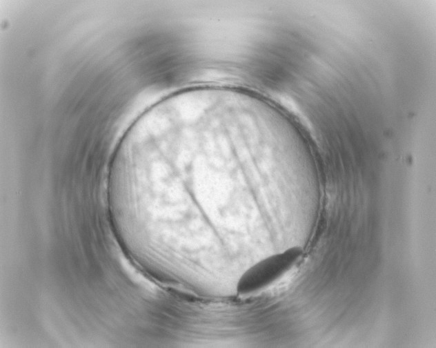 X0000088651421200706221559