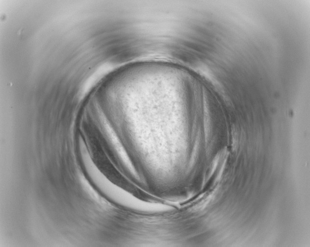 X0000088651422200706221559