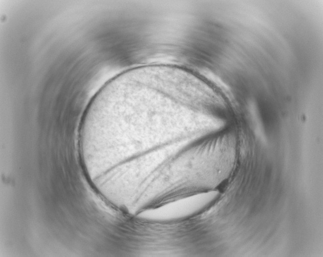 X0000088651423200706221559