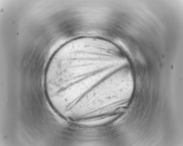 X0000088651424200706221559