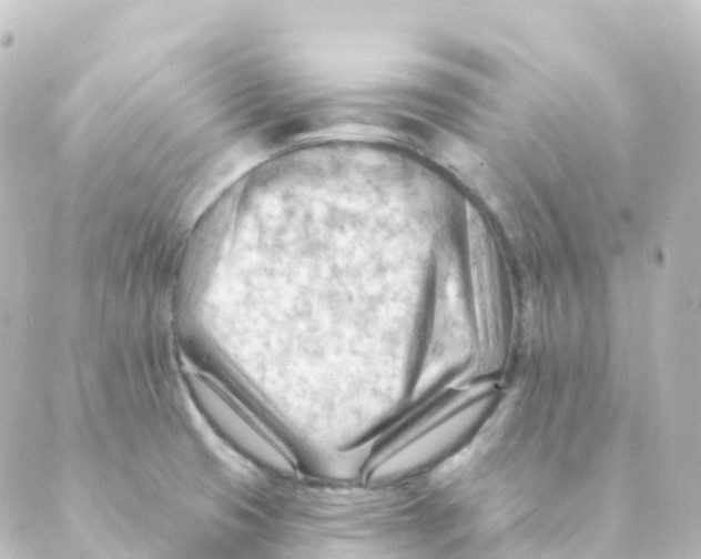 X0000088651425200706221559