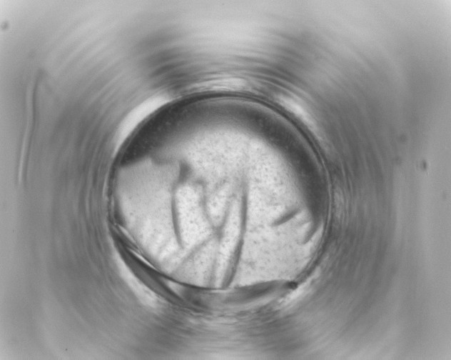 X0000088651426200706221559