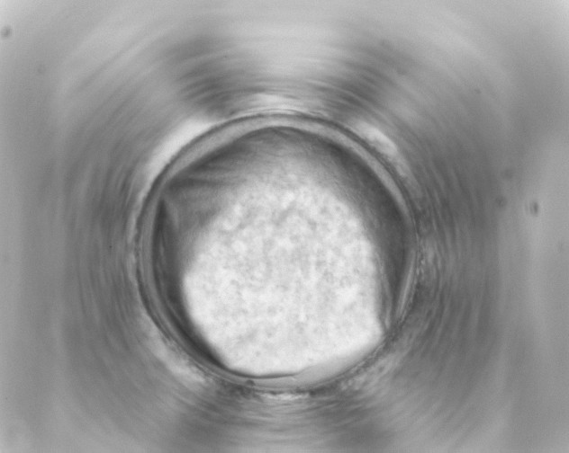 X0000088651427200706221559